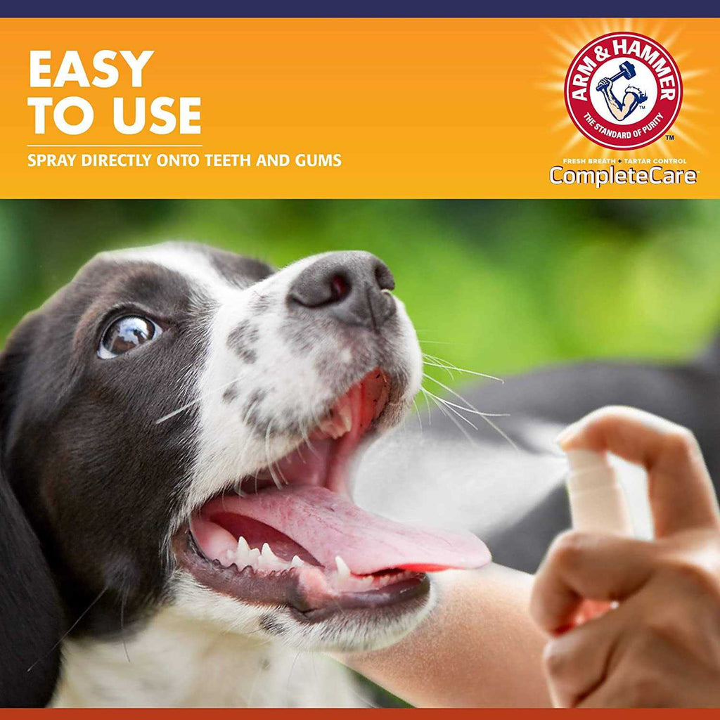 Dog Dental Spray S16305