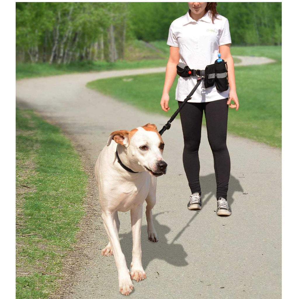 Pet Waist Belt & Bungee Leash D471