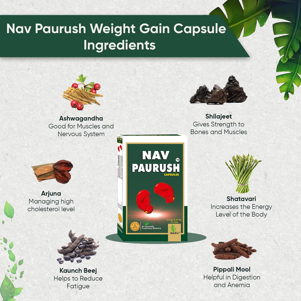 Ayurvedic Weight Gain Capsules Y168