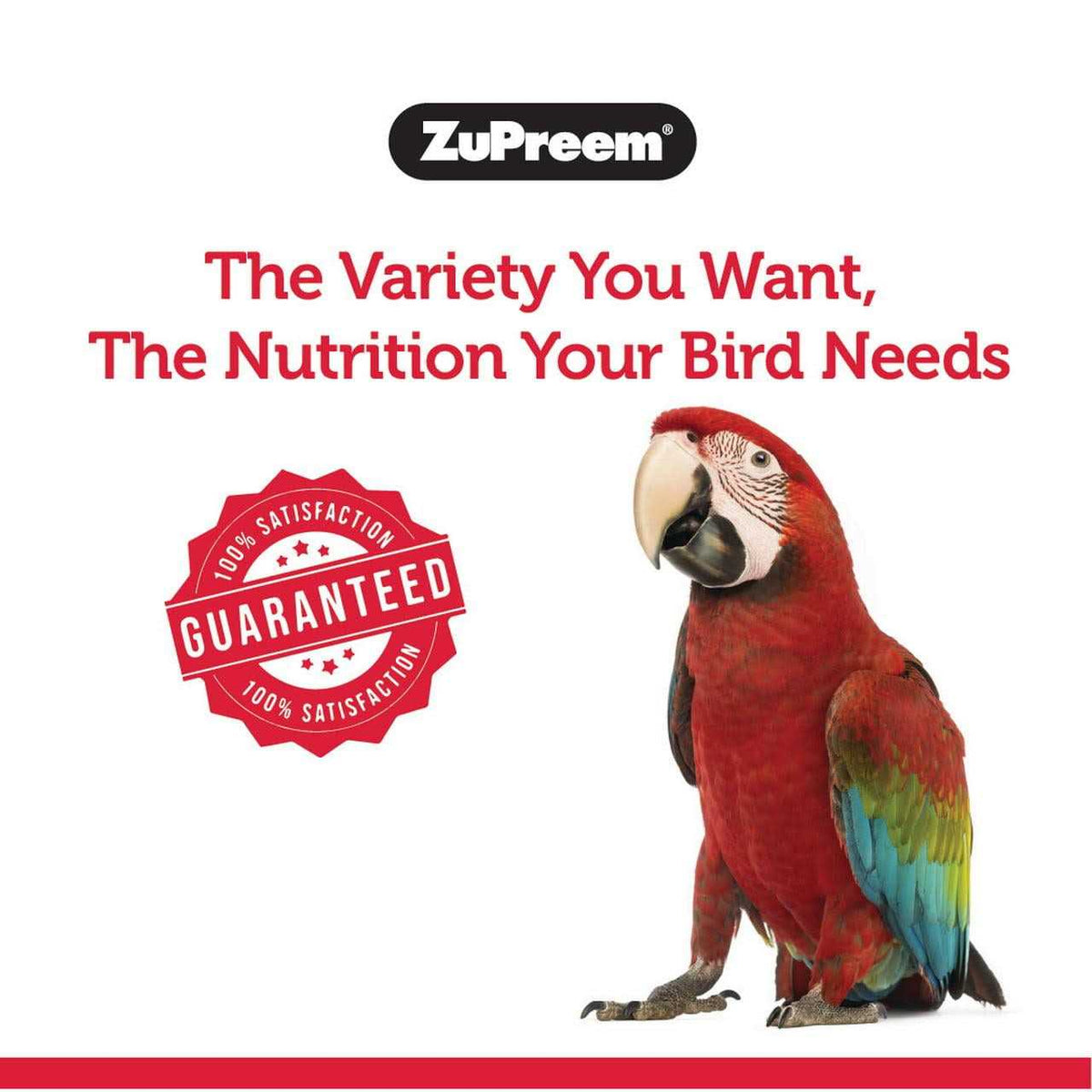 FruitBlend Flavor Bird Food Large O435492