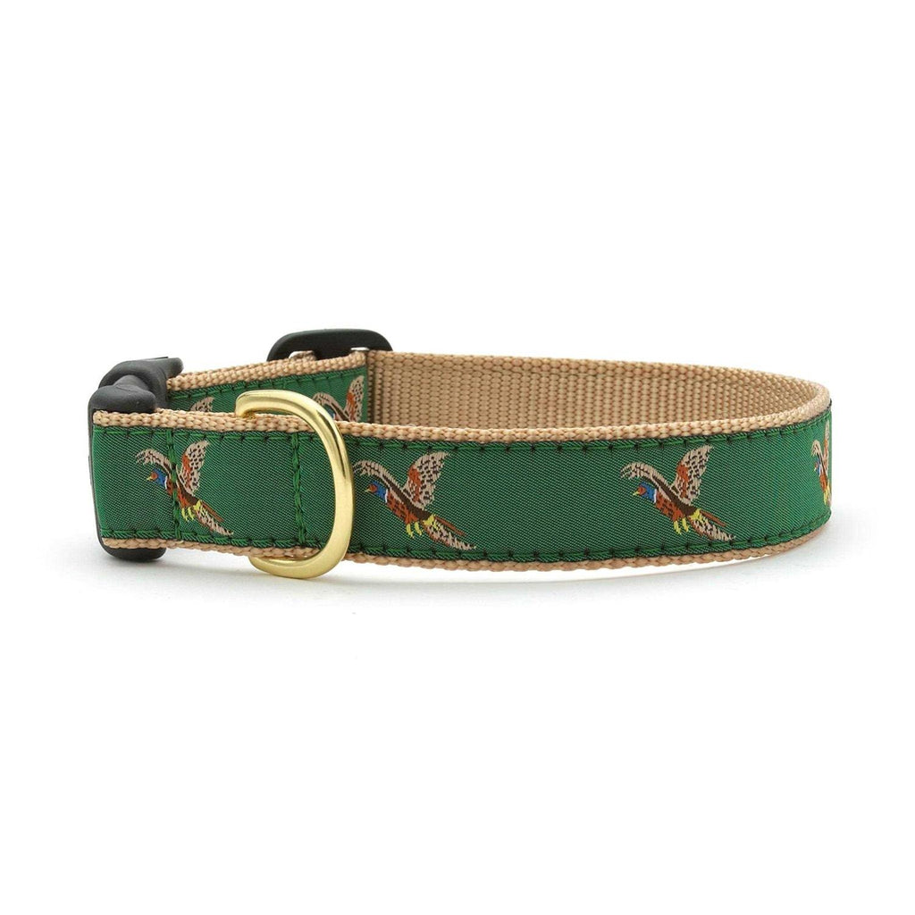 Dog Collar Q3650