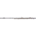 Student Flute T1804