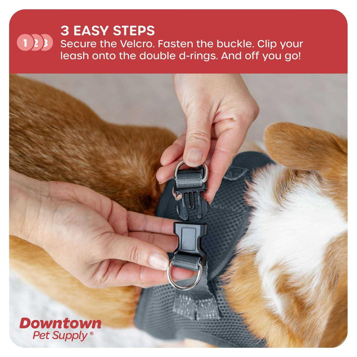 Step in Dog Harness for Small Dogs Y32374