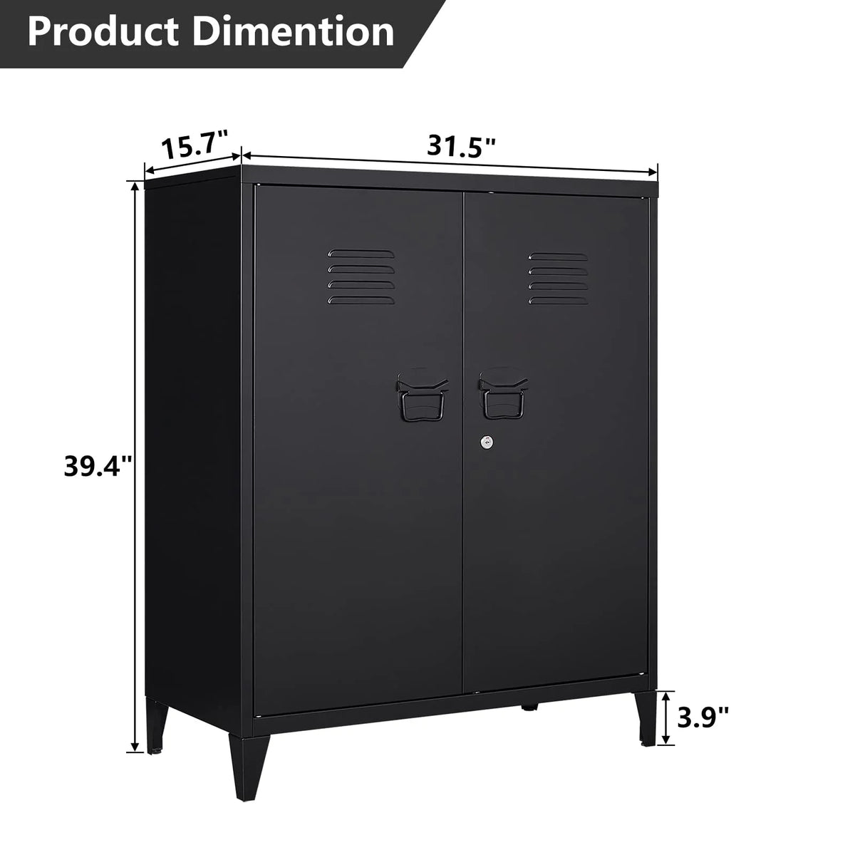 2 Door Metal Accent Cabinet with 2 Shelves, Black U68512