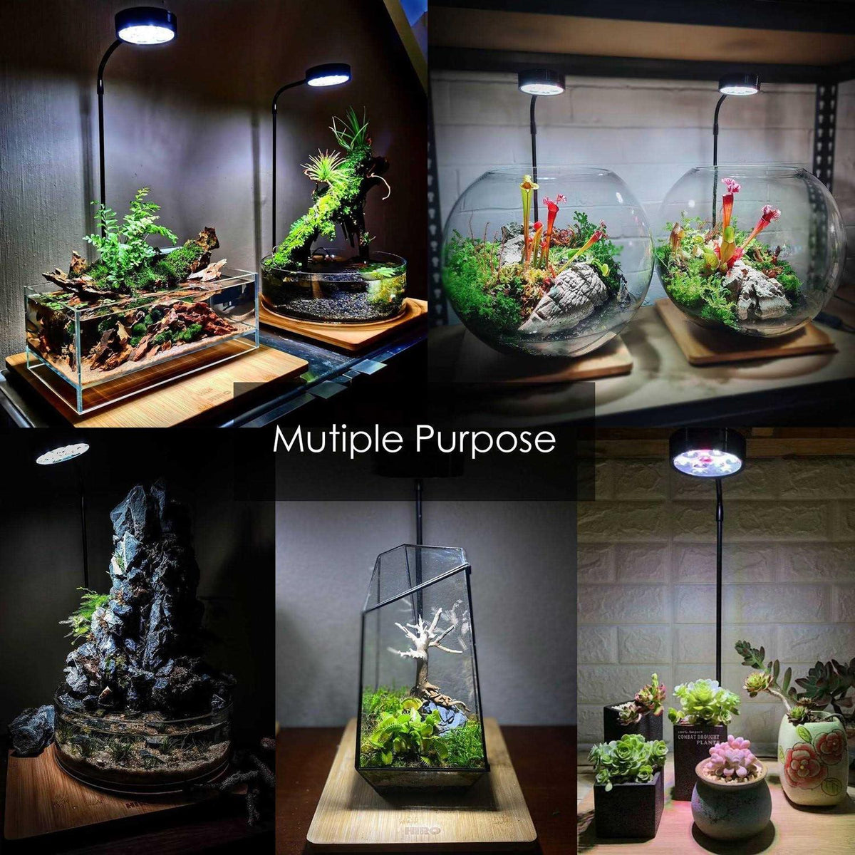 Full Spectrum LED Light with Bamboo Board Aquarium Nano Tank V372065