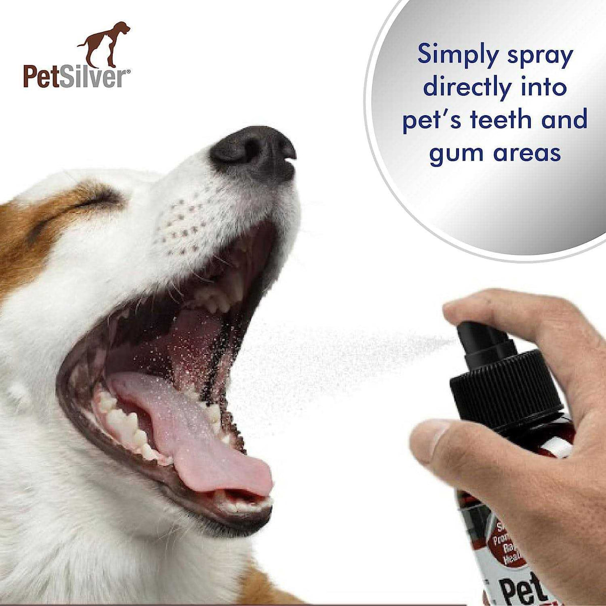 Bad Breath Spray for Dogs Cats M658836