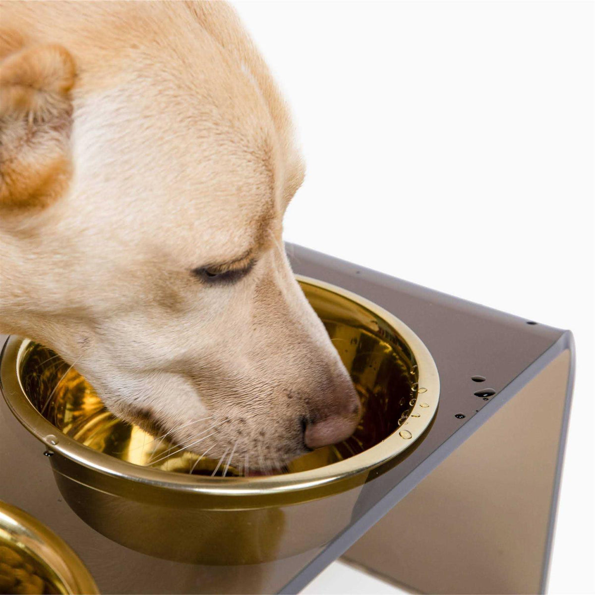 Acrylic Double Bowl Elevated Pet Feeder O1578