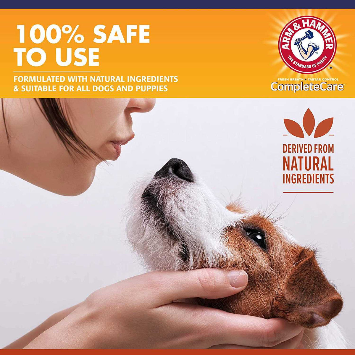 Dog Dental Spray S16305