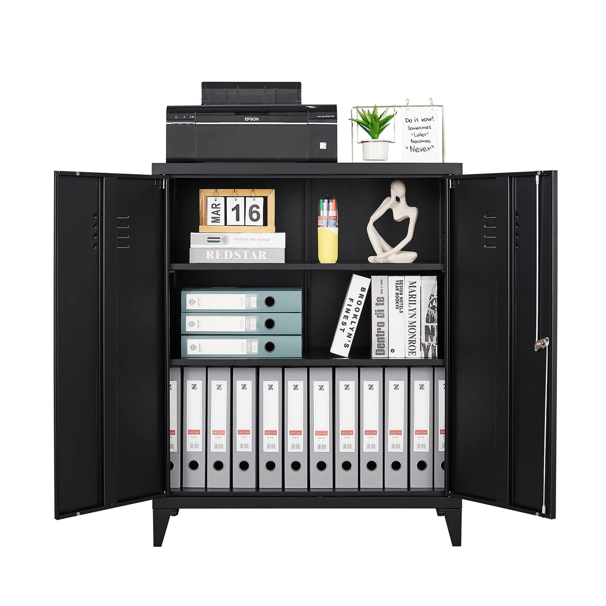 2 Door Metal Accent Cabinet with 2 Shelves, Black U68512