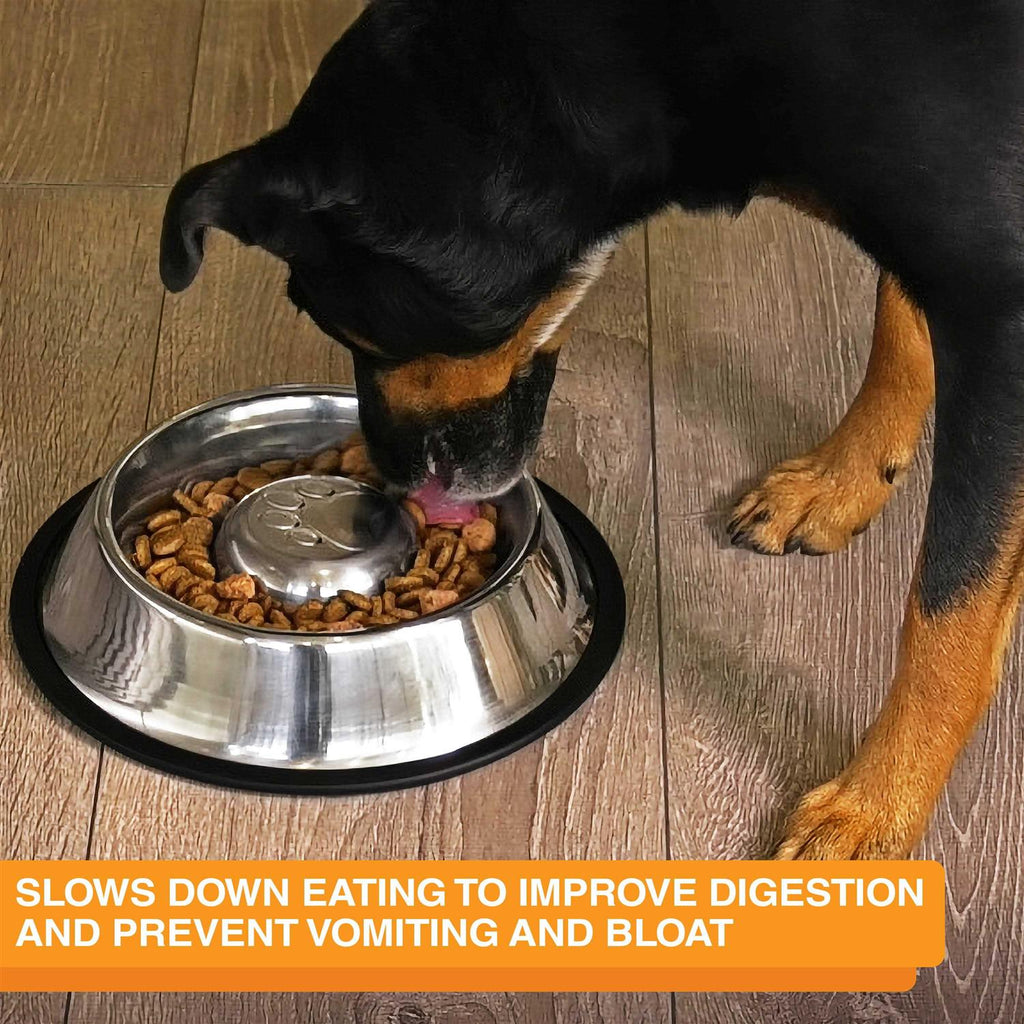 Stainless Steel Slow Feed Bowl D957649