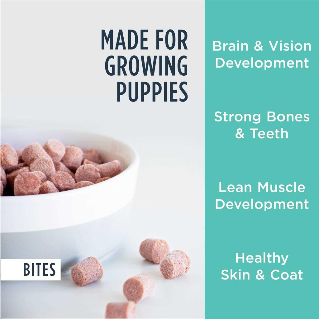 Frozen Puppy Dog Food C229