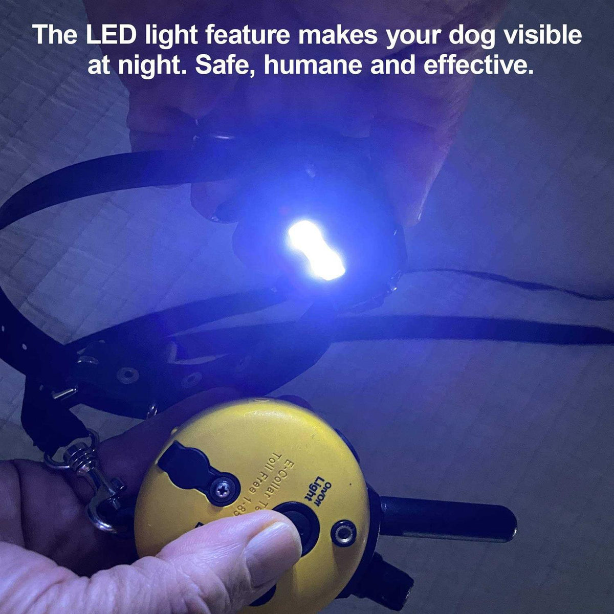 Dog Collar Remote Z980726