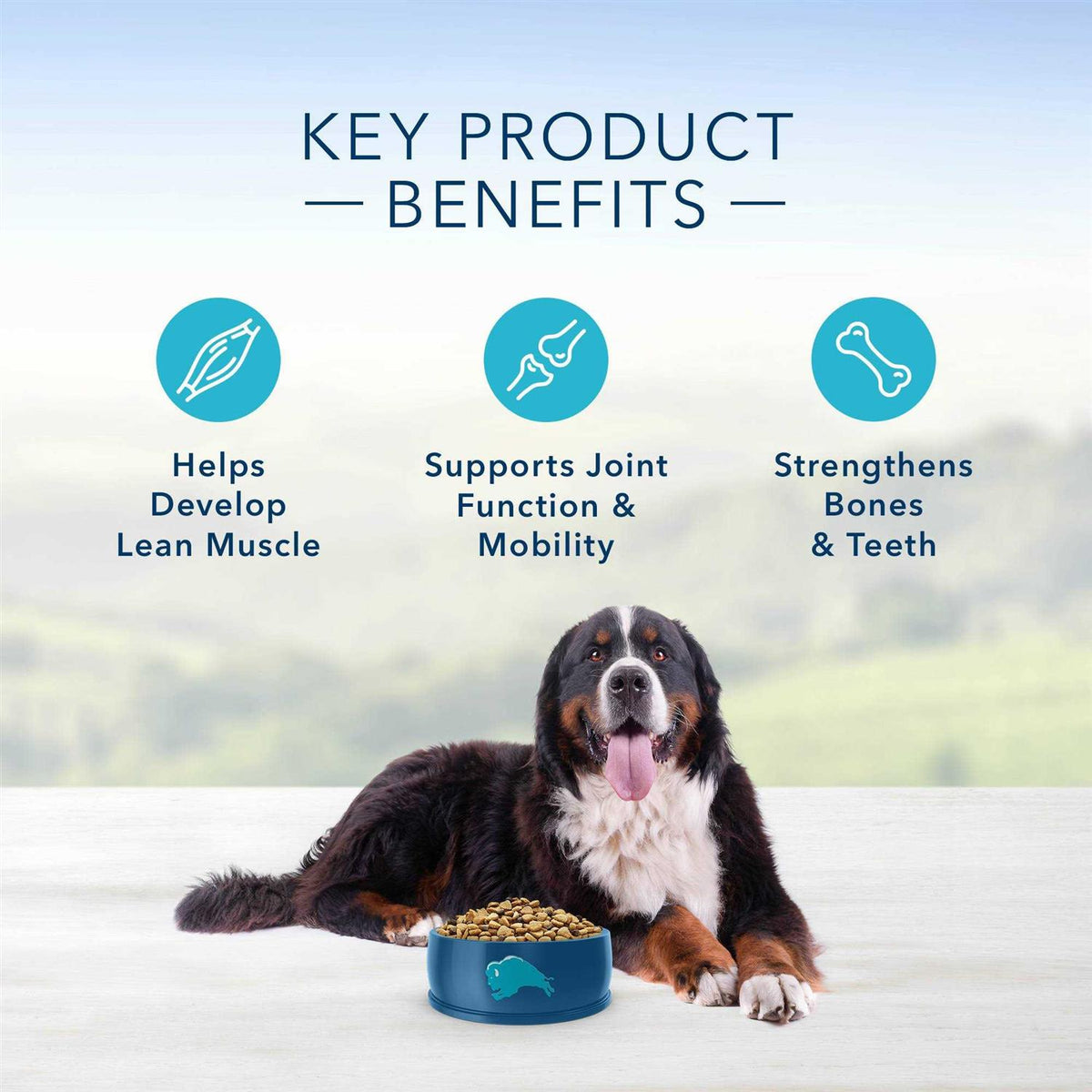 Natural Chicken and Brown Rice Dry Dog Food O651