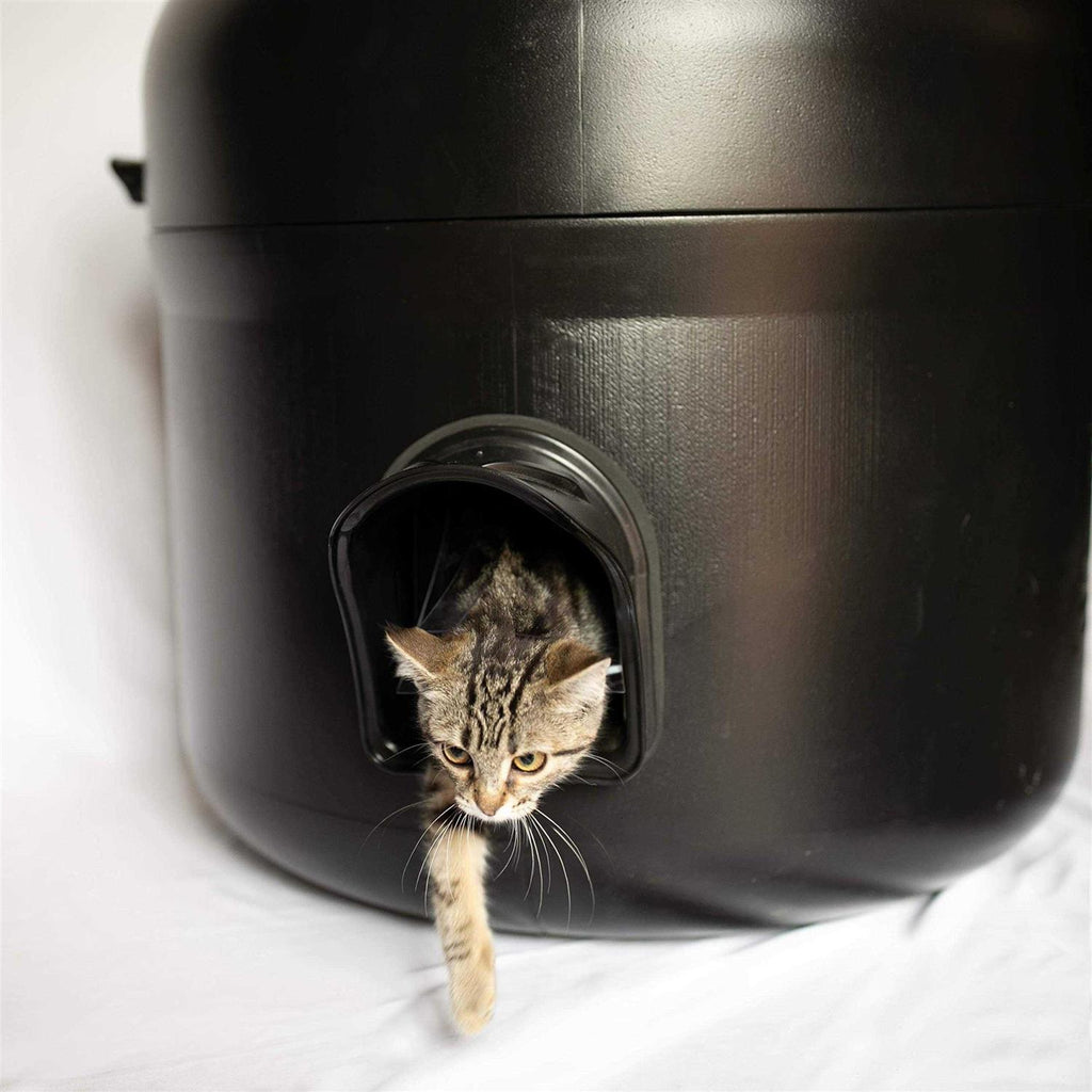 Insulated Outdoor Cat House with Pillow Y96715