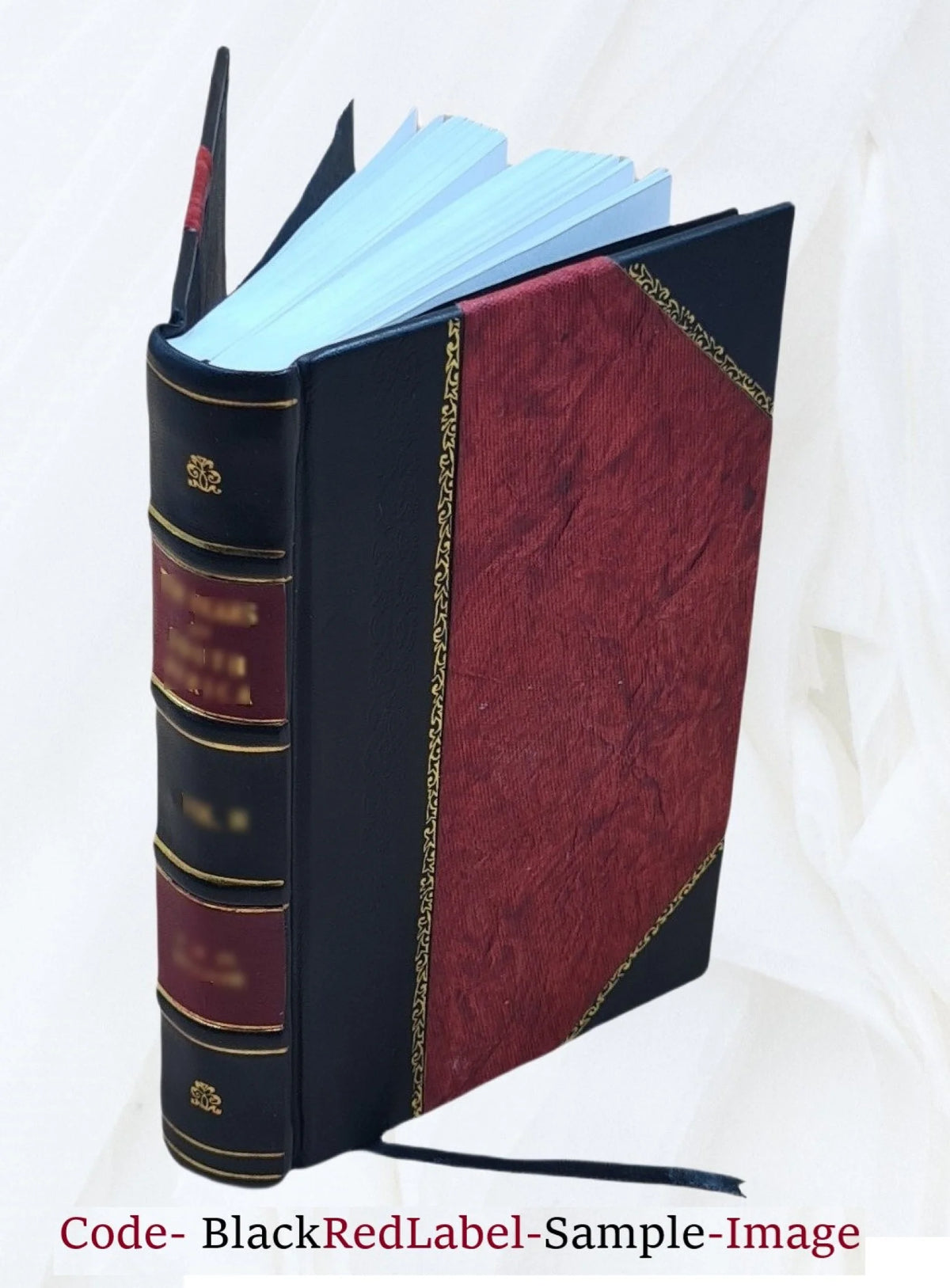 Leather Bound Book V896328