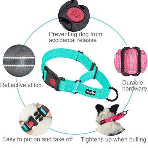 2 Packs Reflective Martingale Dog Collar L3452