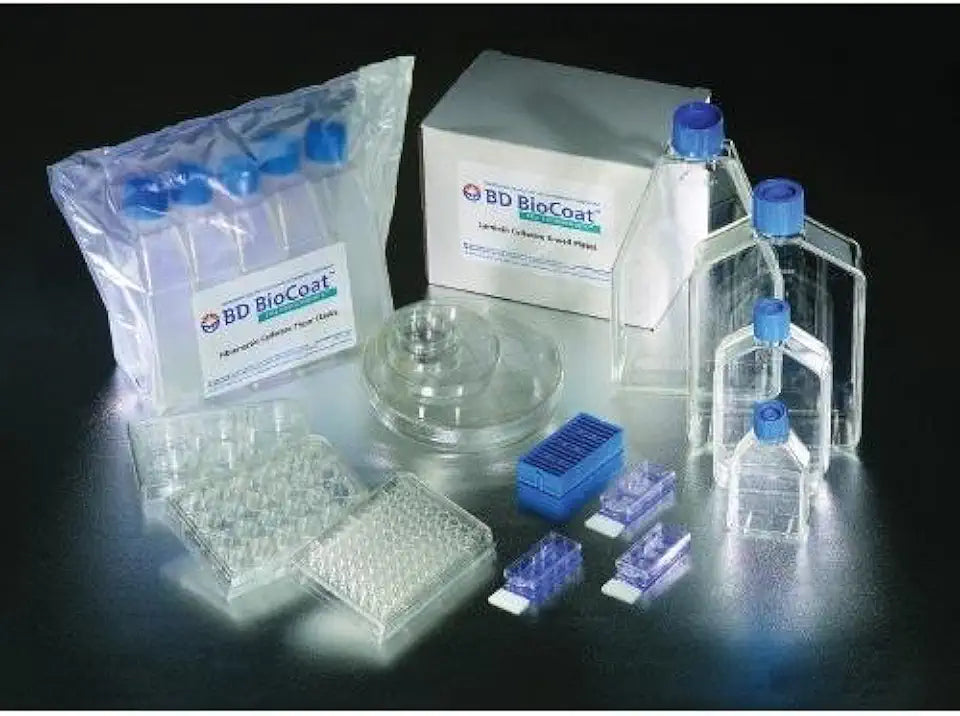Plates Collagen I 96WELL S615864