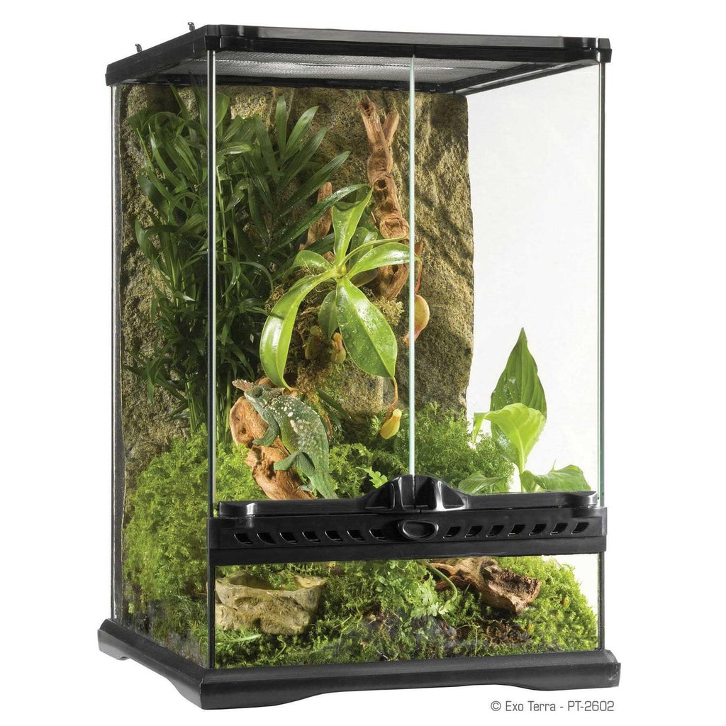 Glass Terrarium U1392