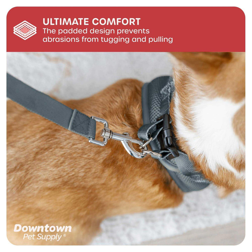 Step in Dog Harness for Small Dogs Y32374